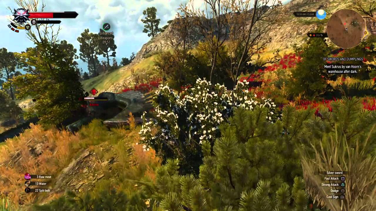 The Witcher 3: POB vs Griffin