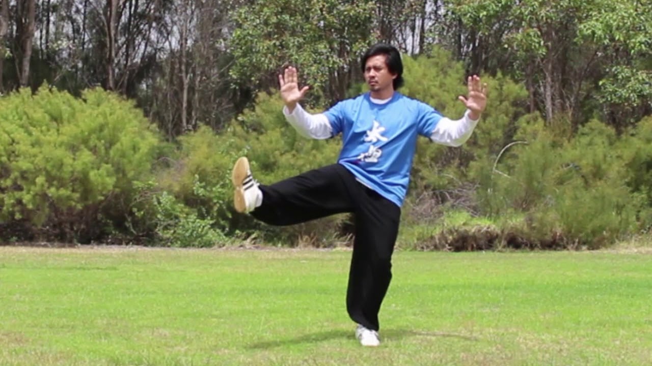 Perth Tai Chi Academy Tai Chi for Osteoporosis (TCO) front demo YouTube