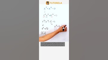 Factoring to Solve x⁴ + x² = 0: Find Real Solutions #Math #Factorization #CommonFactoring