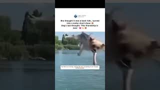 Dog Forced Into Swimming Lesson After Owner’s Slip #funnyvideo