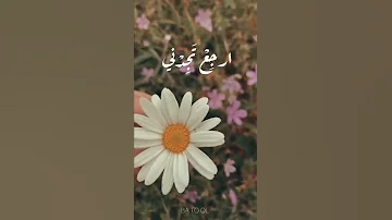 قلبي الذي أودعت ه نبض الهو ى عبدالعزيز آل تويم 