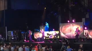 Daughtry 'wild heart' Baptized tour