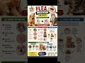 #FleaInfestation #PetCare #catCare #PetHealth #HanaPetTales #VetAdvice #PetHygiene #FleaControl