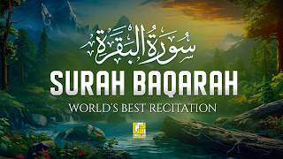 Surah Al Baqarah Full (سورة البقره) HEART TOUCHING RECITATION | Zikrullah Reciters