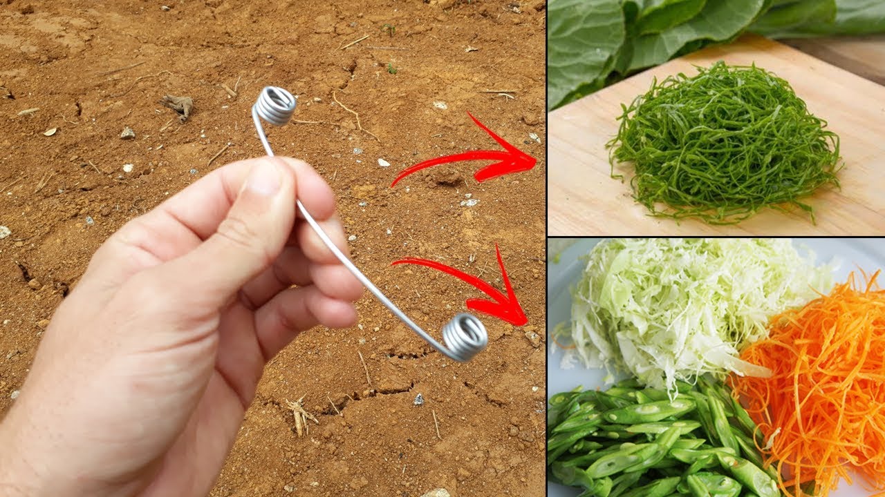 Utilize um Pedaço de ARAME para Picar COUVE FININHA ou LEGUMES FININHOS