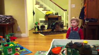 IMG 1274