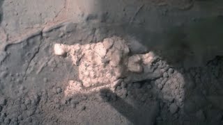 Martian Fossil/Bones, Curiosity Rover