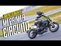 Mi EXPERIENCIA en un CIRCUITO por PRIMERA VEZ en una BENELLI LEONCINO 800 TRAIL