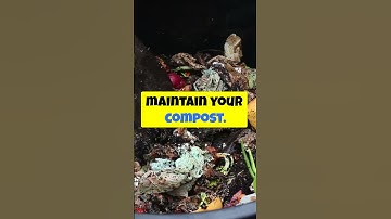 Compost at Home: Everything You Need to Know (Zero Waste)