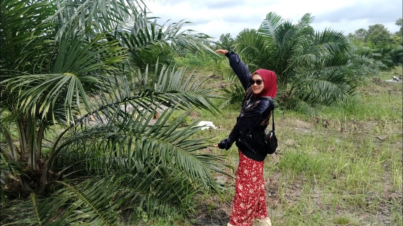 Tengok Kebun 239 Bareng Ibu Negara