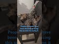 Cat fight blows up #diy #funny #cat #goviral #shorts