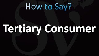 How to Pronounce Tertiary Consumer