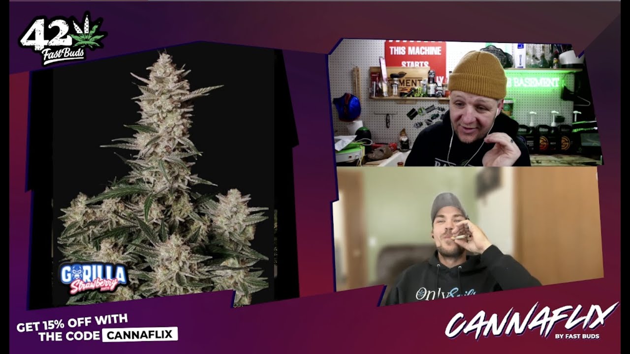 Cannaflix with grower  THERAPY GROW | recovery through cannabis