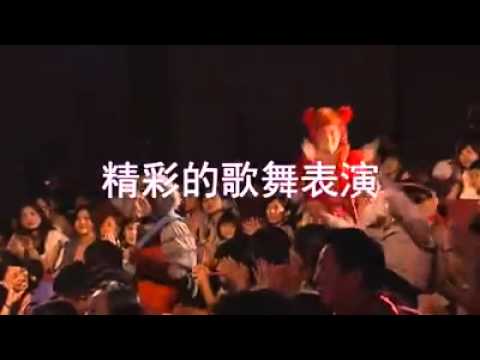 豬探長第一集+第二集精彩片段