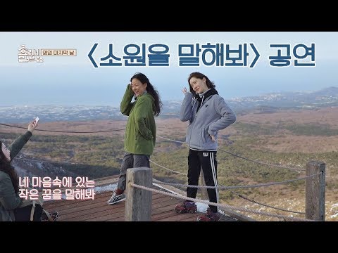 [공연] 효리가 꿈꾸던 윤아와의 '소원을 말해봐'♪ #한라산 효리네 민박2 15회