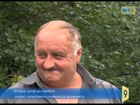 ჭიათურის სოფლებში ხეების  ჩეხვა