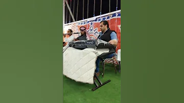 رياح الجنوب 