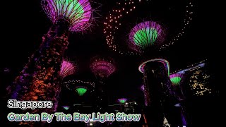 Garden By The Bay night lights رقص چراغ ها  در باغ معروف سنگاپور