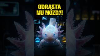 Ta MUTACJA to "CHEAT CODE" w realnym życiu.