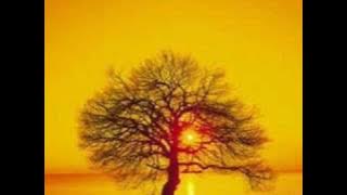 Hardline - In The Hands Of Time