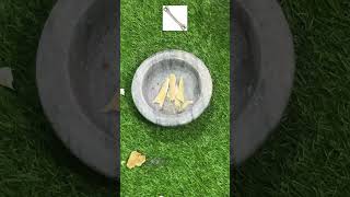 Hard Bone Crush Asmr experiment #asmr #experimnent #satisfying