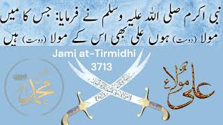 Jami at-Tirmidhi 3713 | Mola Ali #islamthestraightway screenshot 5