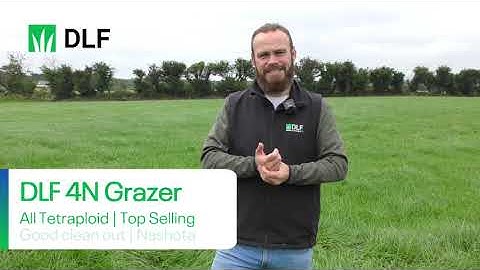 DLF 4N Grazer for 5 Star Grazing Utilisation
