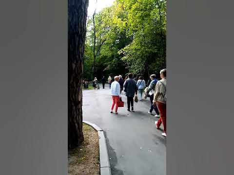 #Сталин_дачи_для_писателей_Переделкино_либо_лояльность_либо_нет_дачи# ...