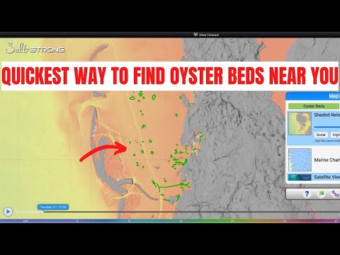 Easiest & Quickest Way To Find OYSTER BEDS In Your Area