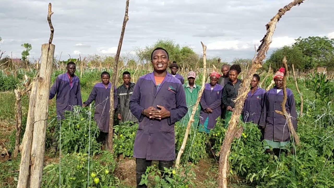 Global citizen submission by Steve Kiala Mulinge