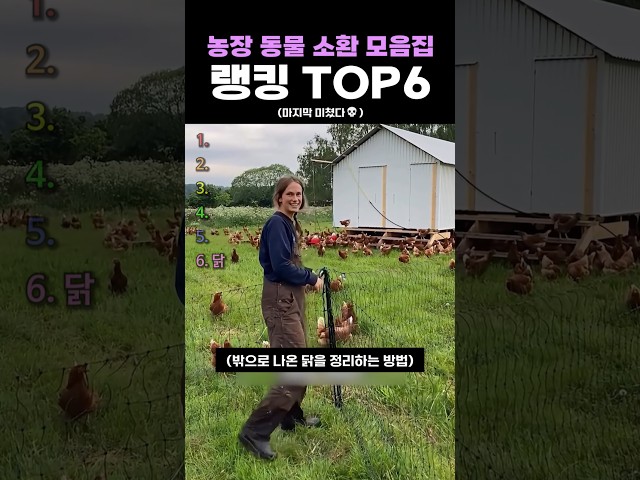 농장 동물 소환 모음집 랭킹 TOP6