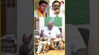 இளங்கோவனுக்கு புத்தி இருக்கா? | #annamalaibjp #evkselangovan #beef