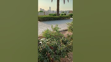 تلاوه خاشعة تاخذك إلى عالم أخر