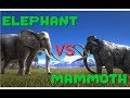 Elephant vs Mammoth, Tiger vs Thylacoleo - ARK Additional Creatures Mod || ARK: Survival Evolved