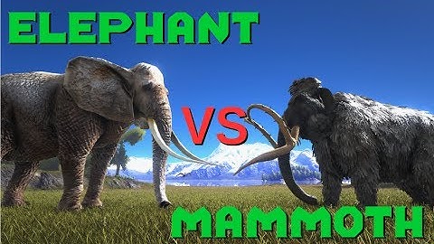 Elephant vs Mammoth, Tiger vs Thylacoleo - ARK Additional Creatures Mod || ARK: Survival Evolved
