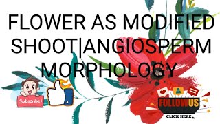 FLOWER AS MODIFIED SHOOT|ANGIOSPERM MORPHOLOGY #botany #botanylectures #education