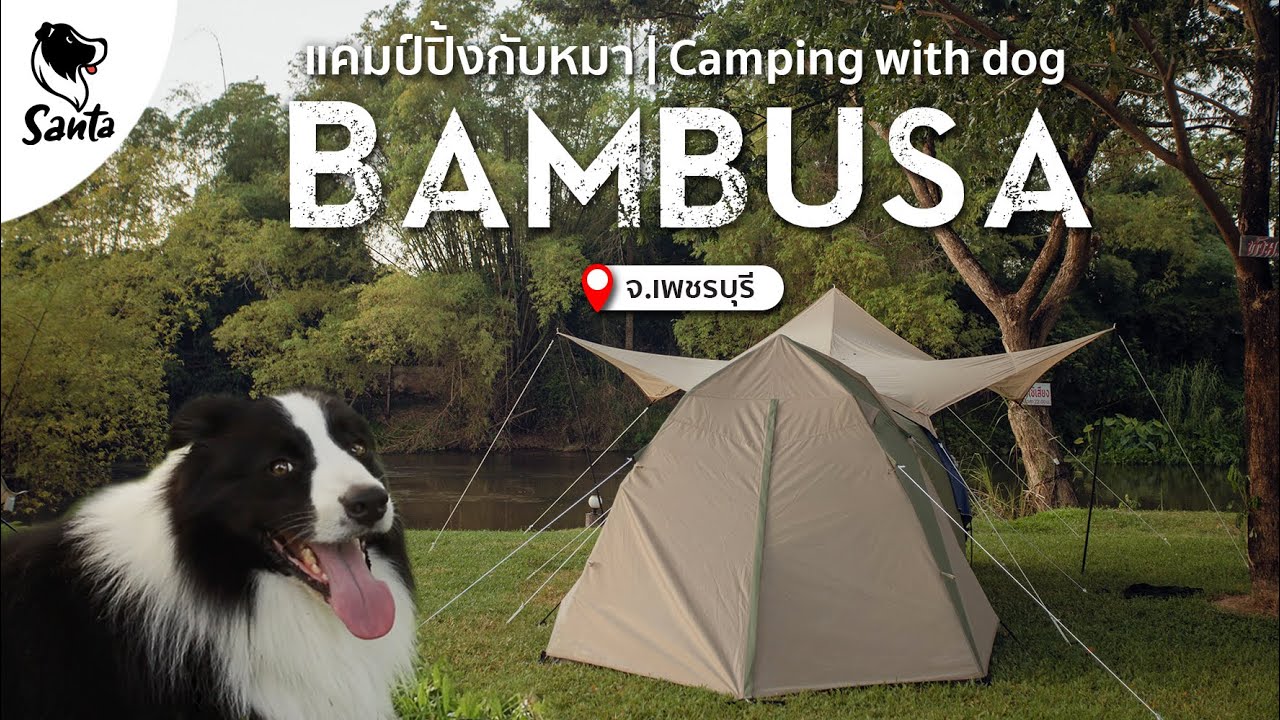Bambusa Camp กางเต็นท์กับหมาริมแม่น้ำเพชรบุรี พาซานต้าเล่นน้ำฟินๆไปเลย | Santa Camping [Ep.10]