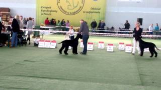 WP 20140405 002
