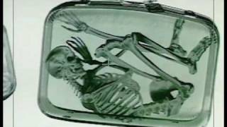 MTV station ID Airport X-ray.mov