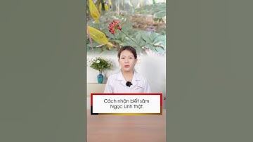 Cách nhận biết sâm Ngọc Linh thật | Sâm Ngọc Linh Tuệ Linh #shorts