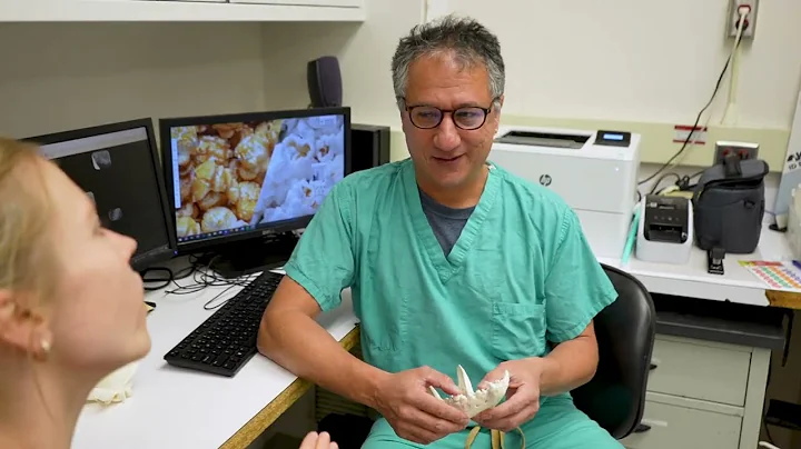 Riney Canine Health Center Funded Research: Oral Squamous Cell Carcinoma