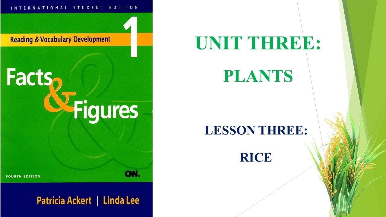 Facts and Figures | Unit 3 | Lesson 3 | Rice
