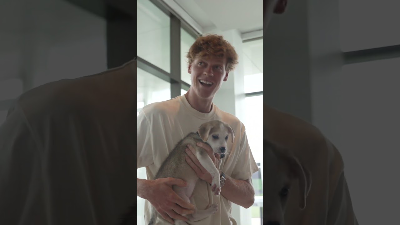 Jannik Sinner plays with puppy at Cincinnati Open #atp #tennis #sinner -  YouTube