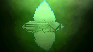 Our new intro by Slice Designs