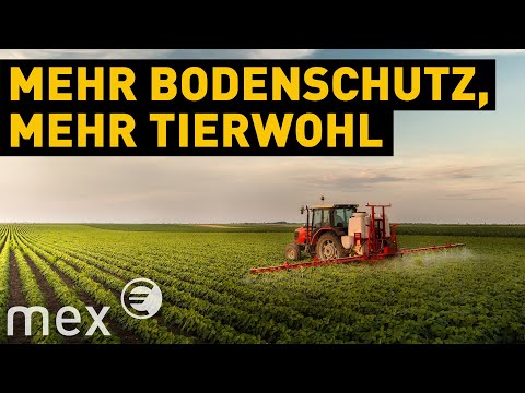 Regenerative Landwirtschaft: Das Agrarsystem der Zukunft? | mex