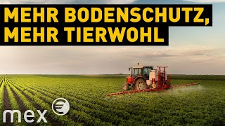 Regenerative Landwirtschaft Das Agrarsystem Der Zukunft? Mex