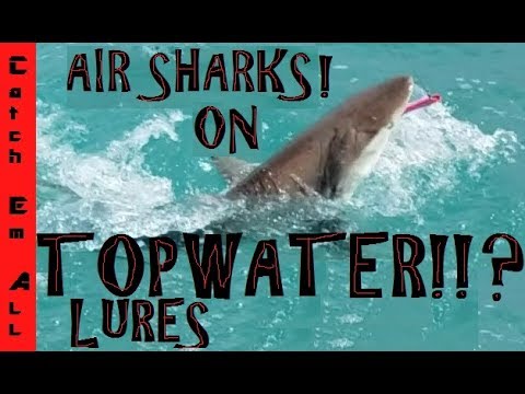 how to fish terraria CATCHING SHARKS on TOPWATER LURES!