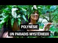 Polynésie, d