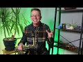 Goldington Alto Saxophone Review 🎷 £595 vs Pro Model