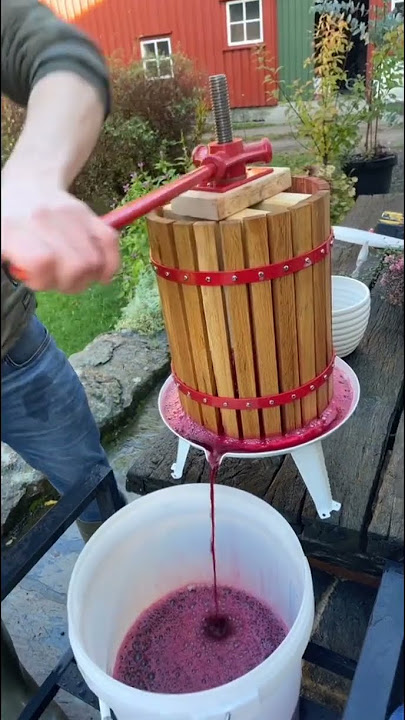 آب گیر دستی انگور 🍇 برای یه شراب مشتیِ بهشتی 😍😋میخای؟بیا دیگه/ Producing wine in home with trick 🍇💥⚡